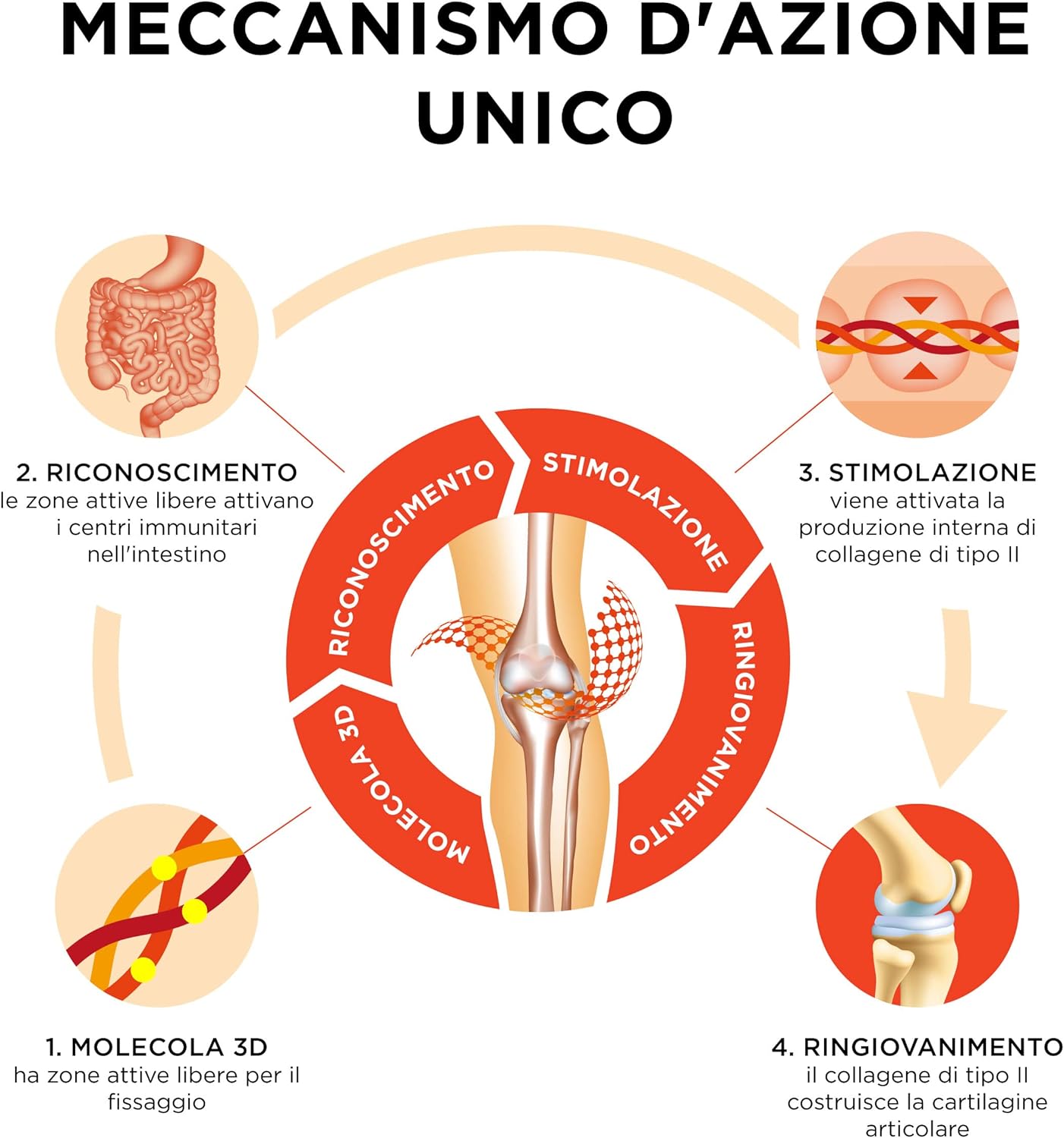 Collanol collagene intatto, 4 confezioni da 20 capsule, 80 compresse - Articolazioni e ossa sane, Vitaslim