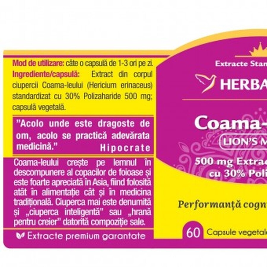 Coama leului Lion s Mane x 60cps, Herbagetica